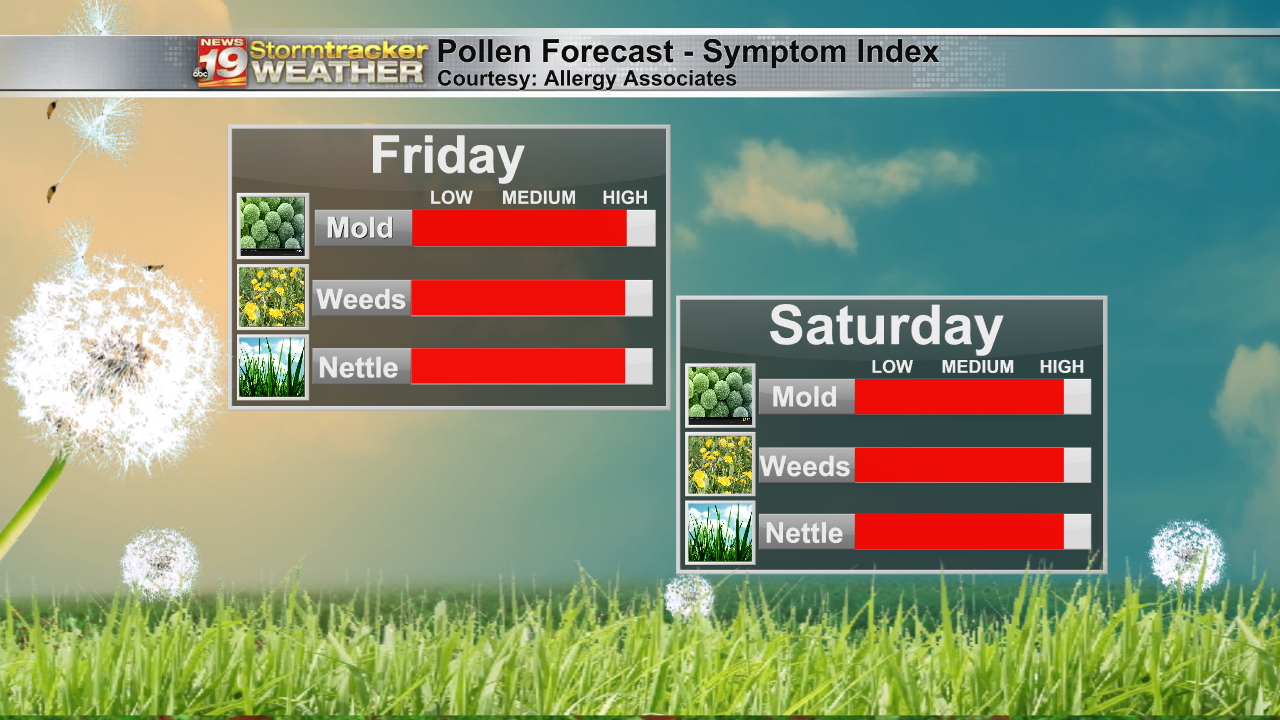 Allergy Forecast xo (20).png